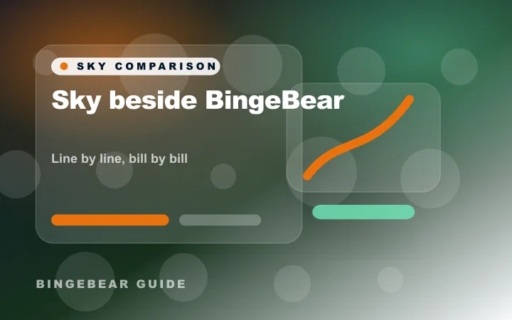 Irish IPTV guide image for Sky next to BingeBear, line for line