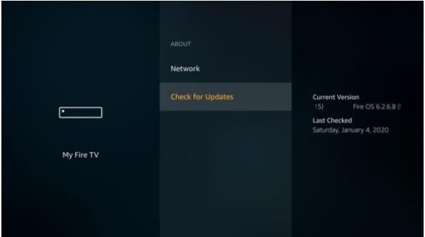 Check for Updates 