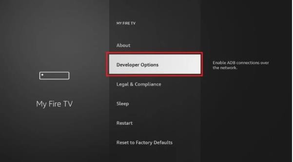 Click on Developer options