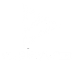 ibo player pro 10